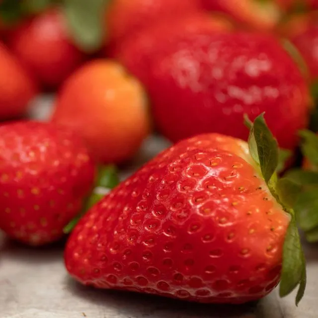 thumbnail for publication: The US Strawberry Industry: An Overview of Production and Trade